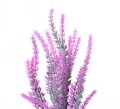 41573_60094