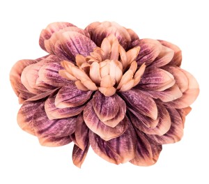 Dalia główka brąz z fioletem