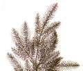 41555_60242