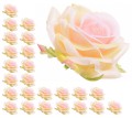 26298_35079