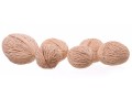 35055_45542